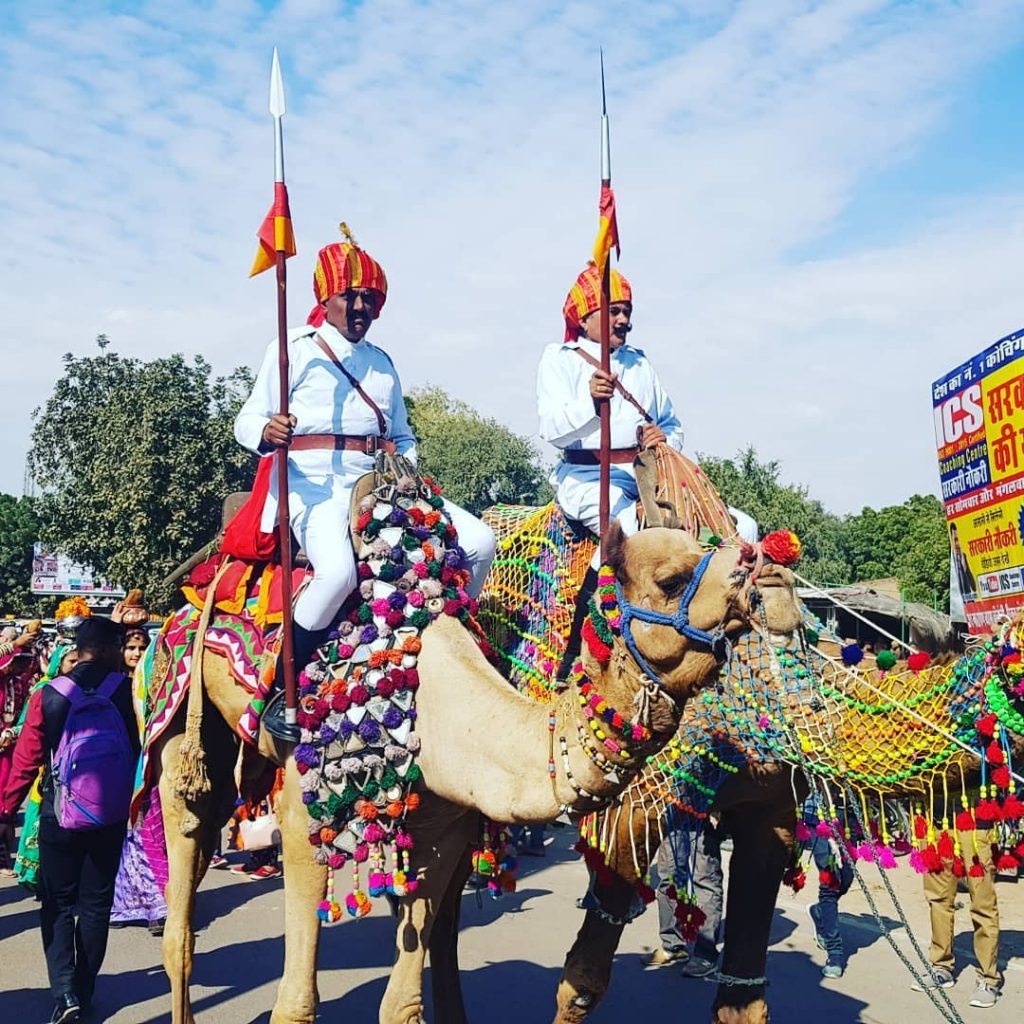 Camel Festival 