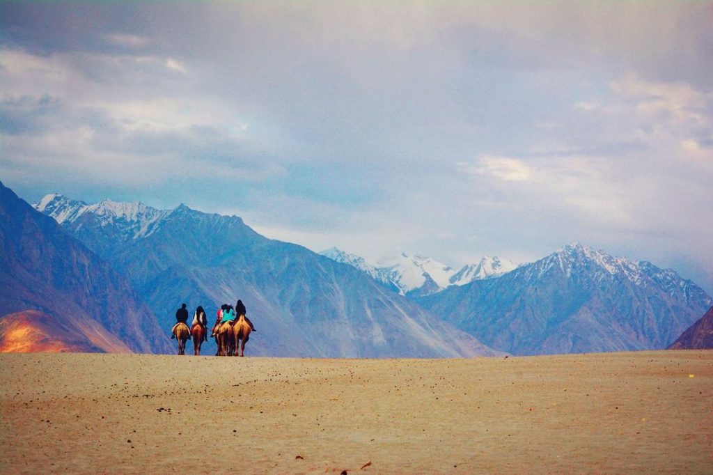 Double Hump Camel Safari in Nubra Valley