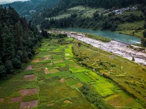 Barot - Himachal Pradesh