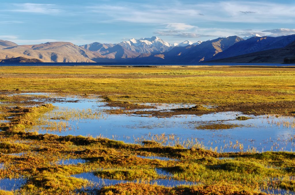 Grassland with mountains in Ladakh, India. Ladakh is the highest