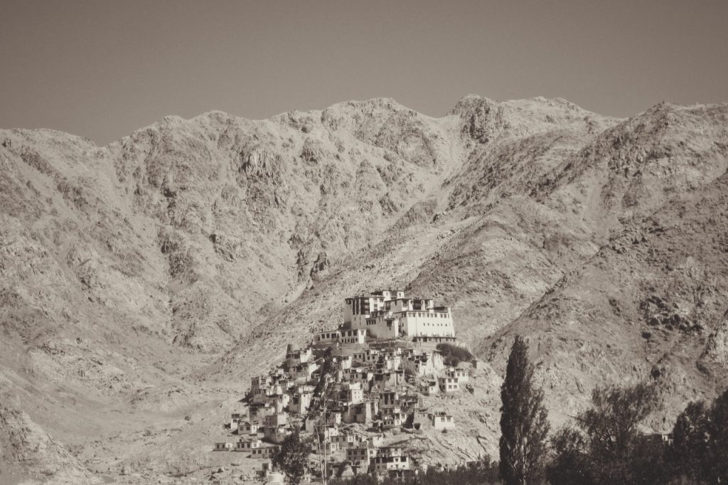 Leh Palace 